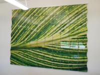 7'X10' (yes...feet!) wavy tile mural created for a local bank